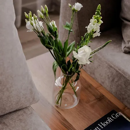 Apartment 2br Penthouse Centre Rotterdam