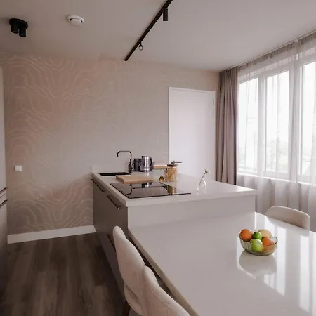 2br Penthouse Centre Rotterdam